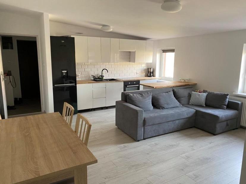 Apartament W Malowniczej Sosnowce Сосновка Екстер'єр фото